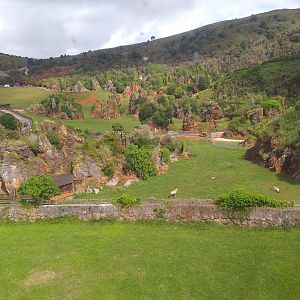Gemsbok (former warthog) exhibit-Cabarceno (2019)