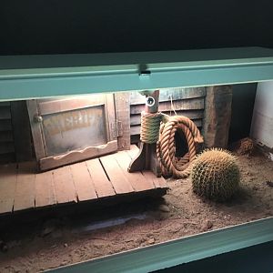 Gila monster terrarium-Cabarceno (2019)