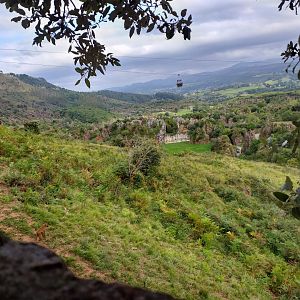 Guinean baboon exhibit with the lion exhibit in the back-Cabarceno (2019)