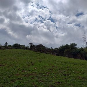 Indian gaur exhibit-Cabarceno (2019)