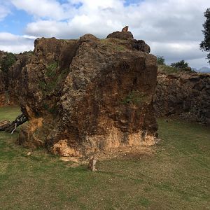 Northern lynx exhibit-Cabarceno 2019