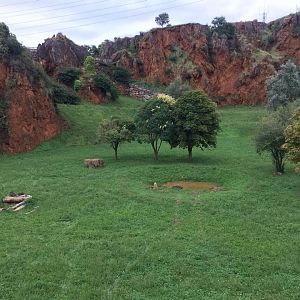 Tiger exhibit-Cabarceno 2019