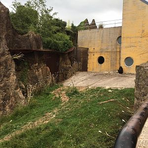 Western lowland gorilla exhibit-Cabarceno 2019