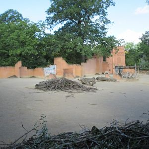 Somali Wild Ass/Addax Exhibit
