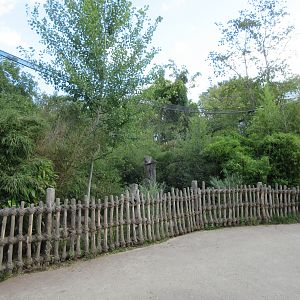 Drill/De Brazza's Monkey Exhibit