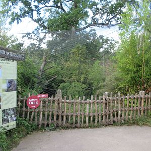 Drill/De Brazza's Monkey Exhibit