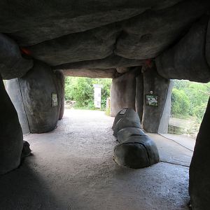 Drill/De Brazza's Monkey Exhibit