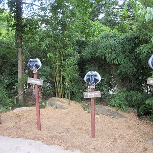 Drill/De Brazza's Monkey Exhibit