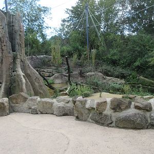 Walk-through African Aviary
