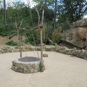 Walk-through African Aviary