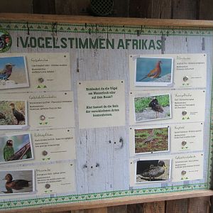 Walk-through African Aviary