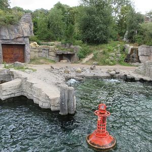 Yukon Bay - Polar Bear Exhibit (outstanding!)