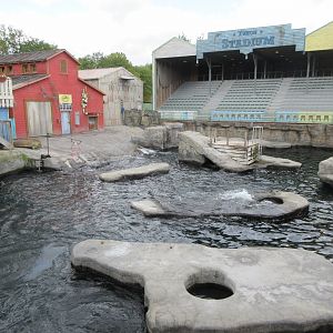 Yukon Bay - Pinniped Exhibit