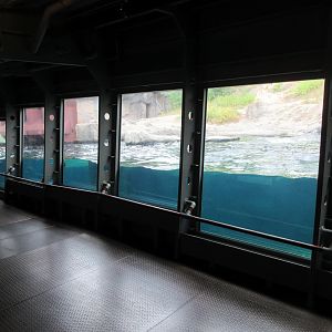 Yukon Bay - Polar Bear Exhibit