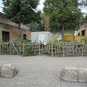 Asia - Future Bull Asian Elephant Exhibit