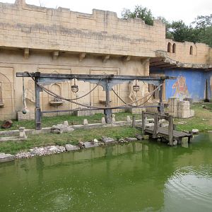 Asia - Hanuman Langur Exhibit