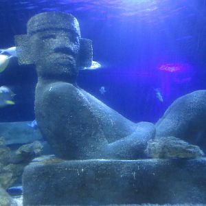 Bizarre statue in underwater tunnel