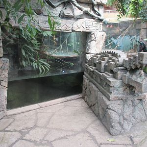 Cuban Crocodile Exhibit