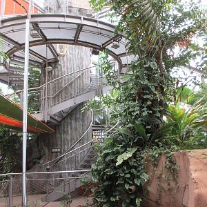 Spiral staircase to canopy