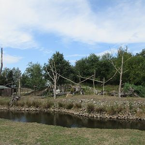 Serengeti Safari - White-headed Brown Lemur Exhibit
