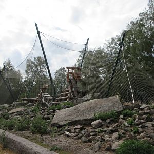 Serengeti Safari - Leopard Exhibit
