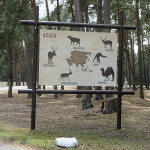 Serengeti Safari - Typical Sign
