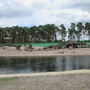 Serengeti Safari - Baboon Exhibit