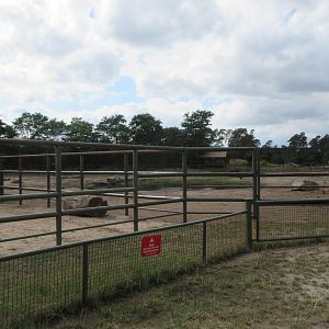 African Elephant Exhibits
