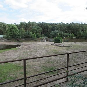 African Elephant Exhibit