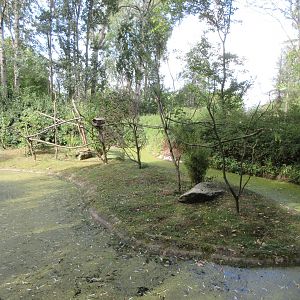 Cotton-top Tamarin Exhibit