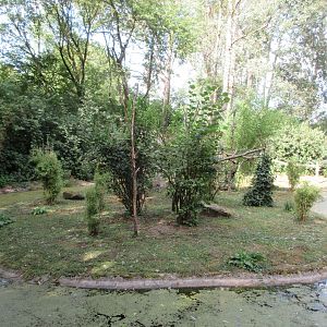 White-faced Marmoset Exhibit