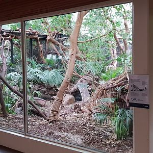 Small Mammal House - Ring-tailed indoor enclosure