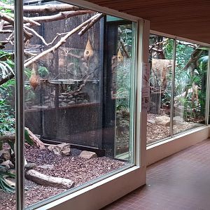 Small Mammal House - Marmoset - Tamarin - Sloth enclosures