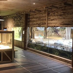 Asia House - Komodo dragon enclosure