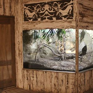 Asia House - Tree-shrew enclosure