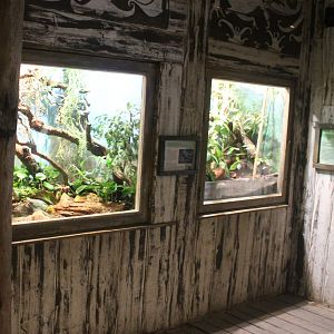 Asia House - Rat snake and Leaf insect enclosures