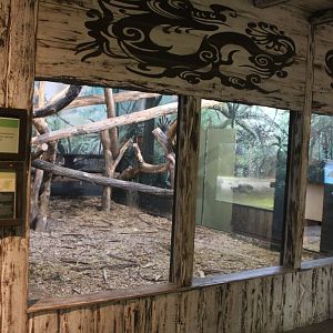 Asia House - Indoor-enclosure Lion-tailed macaque