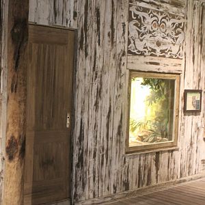 Asia House - Cobra enclosure