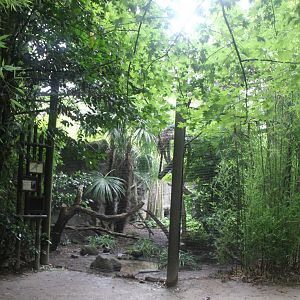 Red-breasted crowned pigeon and azure-winged magpie aviary