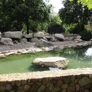 Humboldt Penguin Exhibit