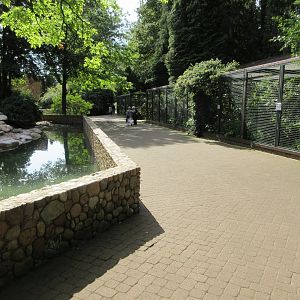 Humboldt Penguin Exhibit + Owl Aviaries