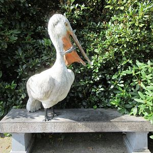 Pelican Bench
