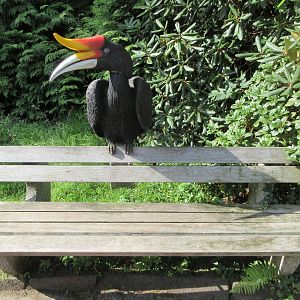 Hornbill Bench