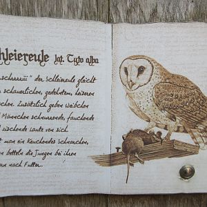 Owl Castle - typical sign