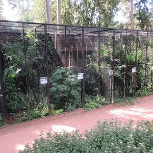 Typical row of Walsrode aviaries