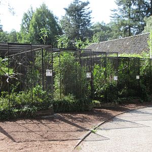 Bird-of-Paradise Aviaries
