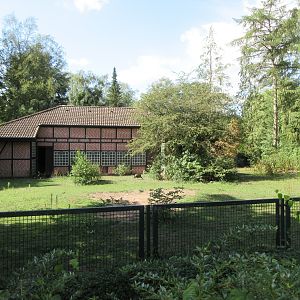 Ostrich/Marabou Stork/Northern Ground Hornbill Exhibit