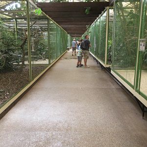 Paradise Hall - two-dozen aviaries