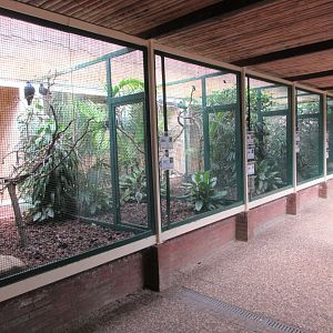 Pukara - row of aviaries