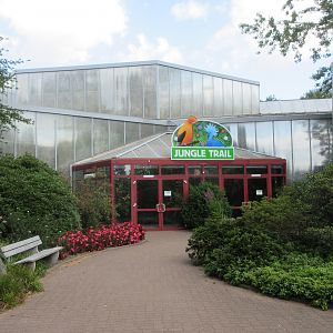 Jungle Trail - Tropical House